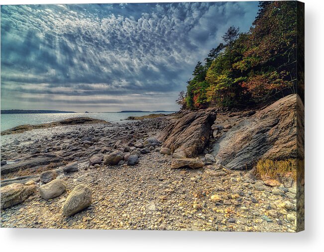 Freeport Maine Acrylic Print featuring the photograph Wolfe Neck Woods by Penny Polakoff
