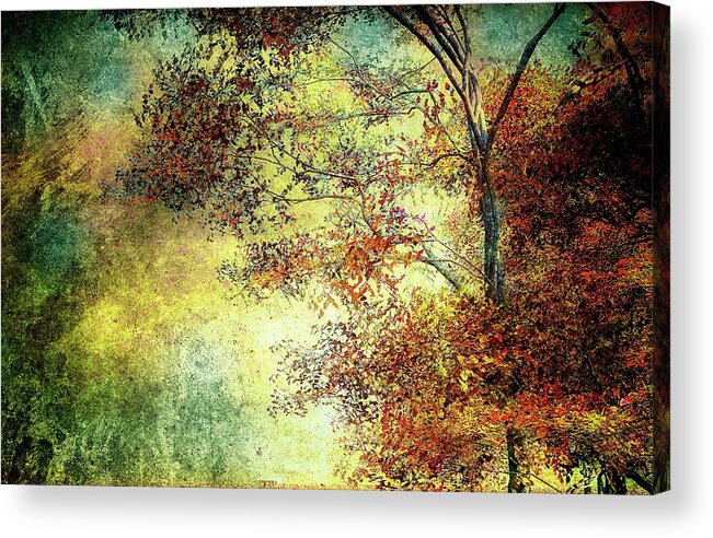 Landscape Acrylic Print featuring the photograph Wondering by Bob Orsillo