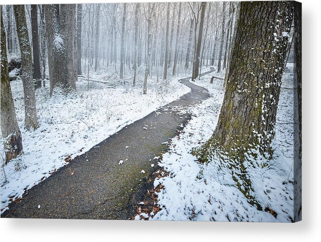 Snow Day Acrylic Print featuring the photograph Cold Winter Path by Jordan Hill