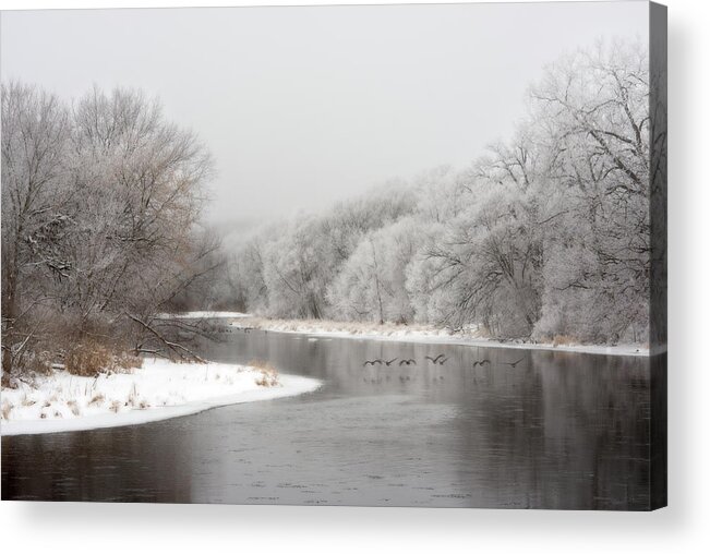 Yahara Acrylic Print featuring the photograph Yahara Winterscape - Yahara river near Stoughton WI with geese flying by Peter Herman