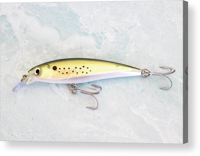 Fish Acrylic Print featuring the photograph Yellow Bunker Fishing Lure by Blair Damson