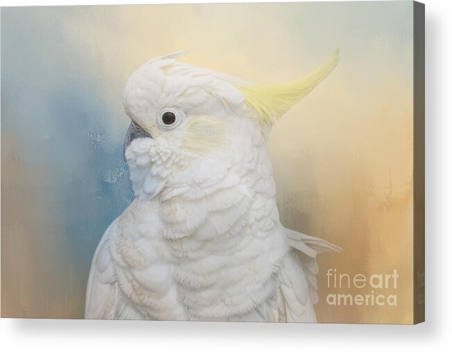 Cockatoo Acrylic Print featuring the mixed media Yellow Crested Cockatoo 02 by Elisabeth Lucas