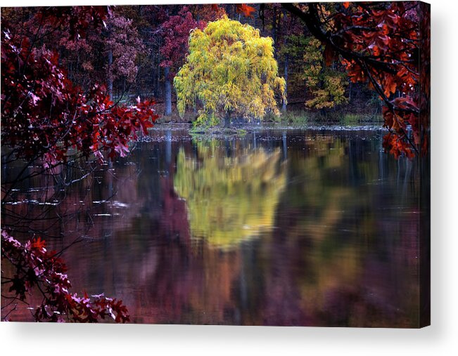 Lake Reflection Acrylic Print featuring the photograph Yellow Reflection by Tom Singleton