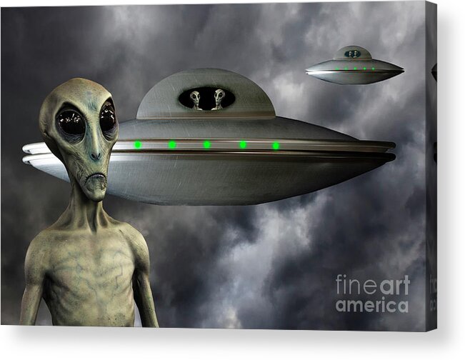 Alien Acrylic Print featuring the photograph You Have No Leader??? by Bob Christopher