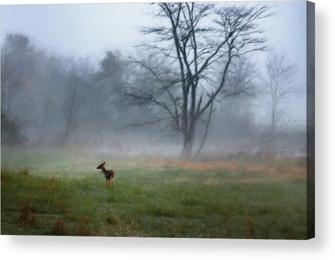 Ponca Acrylic Print featuring the photograph Young Deer and Tree by James Barber