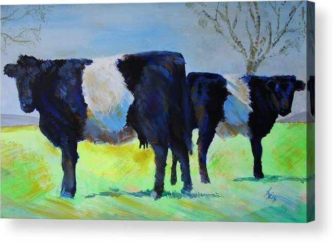Belted Acrylic Print featuring the painting Belted Galloway Cow and Calf by Mike Jory