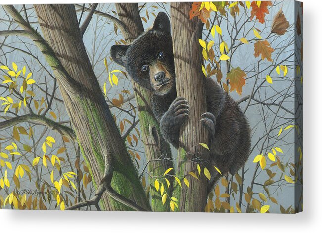 Black Bear Acrylic Print featuring the painting Little Mischief #1 by Mike Brown