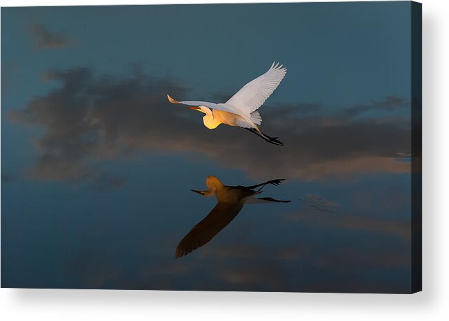 Birds Acrylic Print featuring the photograph Sunset Flight #1 by Bill Martin