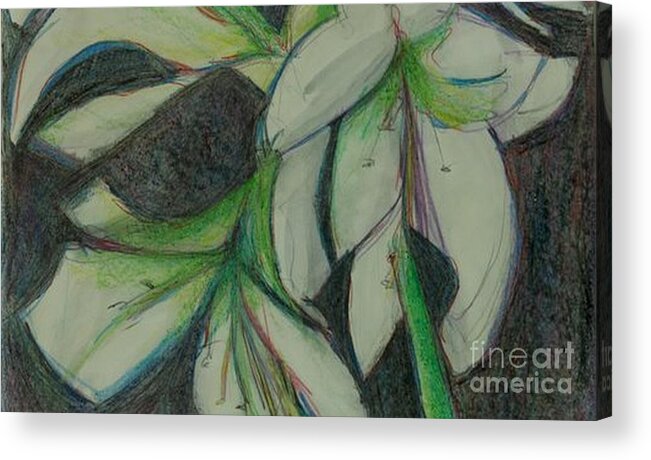 Flower Acrylic Print featuring the photograph Amarylis by Diane montana Jansson