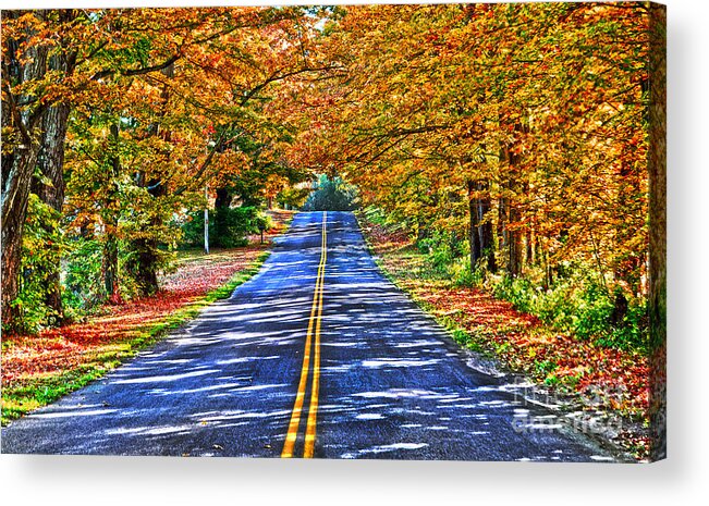 Diane Berry Acrylic Print featuring the photograph Autumn Road Oneida County NY by Diane E Berry