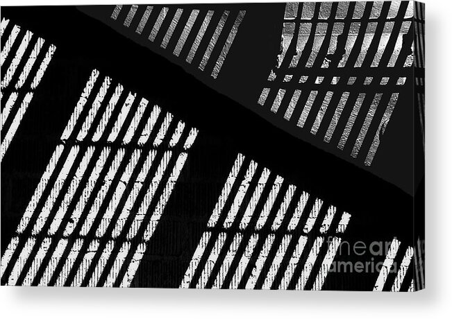 Arts Acrylic Print featuring the photograph Between The Lines by Steven Milner
