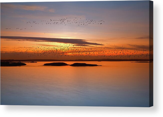 Poland Acrylic Print featuring the photograph By Sunset by Piotr Krol (bax)