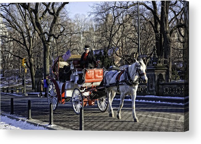 Carriage Acrylic Print featuring the photograph Carriage Driver - Central Park, NYC by Madeline Ellis