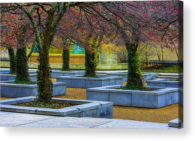 Trees Acrylic Print featuring the photograph Chicago Art Institute South Garden by Raymond Kunst