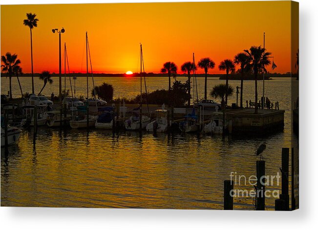 Sunset Acrylic Print featuring the photograph Dunedin Sunset by Alice Mainville