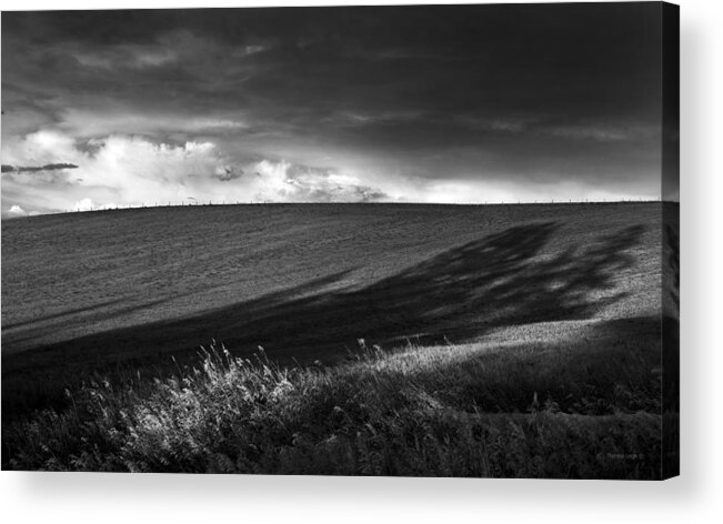 Black And White Acrylic Print featuring the photograph Earth Voices by Theresa Tahara