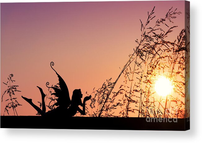 Dawn Acrylic Print featuring the photograph Fairy at the bottom of the Garden by Tim Gainey
