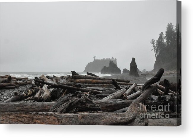 Morning Acrylic Print featuring the photograph Foggy Morning on the Washington Coast 2 by Tatyana Searcy