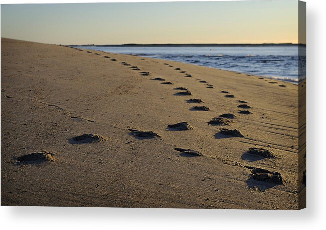Beach Acrylic Print featuring the photograph Follow Your Path by Luke Moore