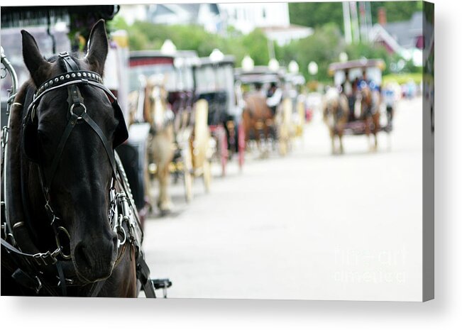 Horse Acrylic Print featuring the photograph Horse and Buggy by Linda Shafer