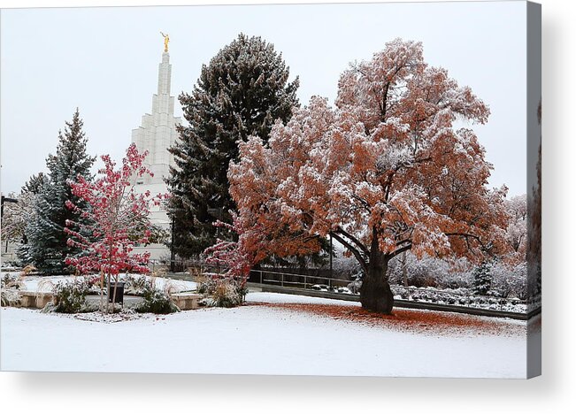 Idaho Falls Acrylic Print featuring the photograph Idaho Falls Temple Winter by David Andersen