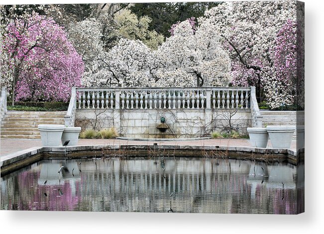 Garden Acrylic Print featuring the photograph In Bloom by JC Findley