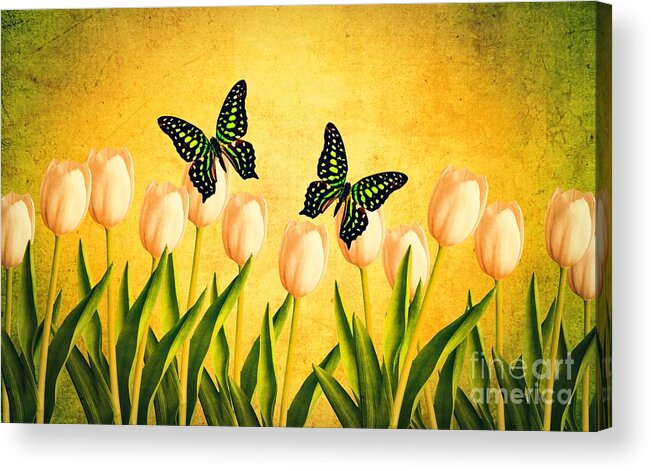  Edward Acrylic Print featuring the photograph In the Butterfly Garden by Edward Fielding