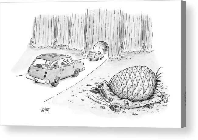 Pine Cone Acrylic Print featuring the drawing New Yorker July 12th, 1999 by Christopher Weyant