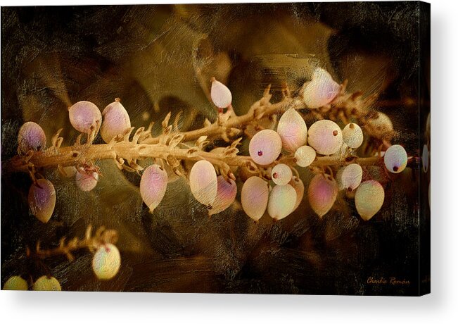 Digital Acrylic Print featuring the painting Oregon Fruit - Oil Version by Charlie Roman