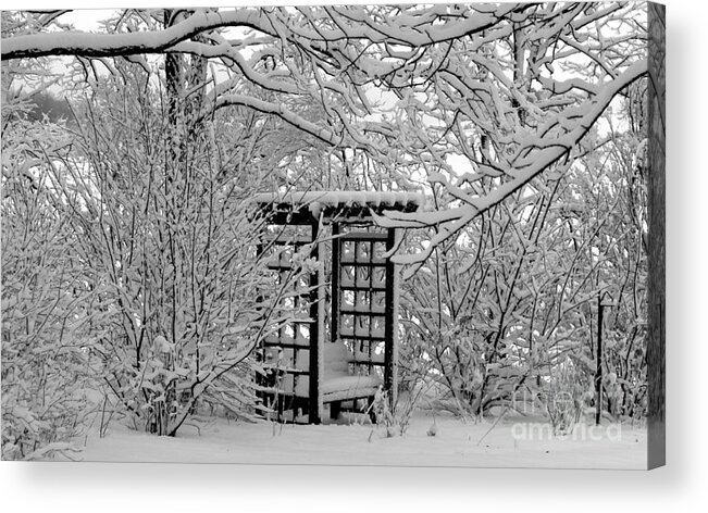 Garden Acrylic Print featuring the photograph Serenity in Snow by Margaret Hamilton