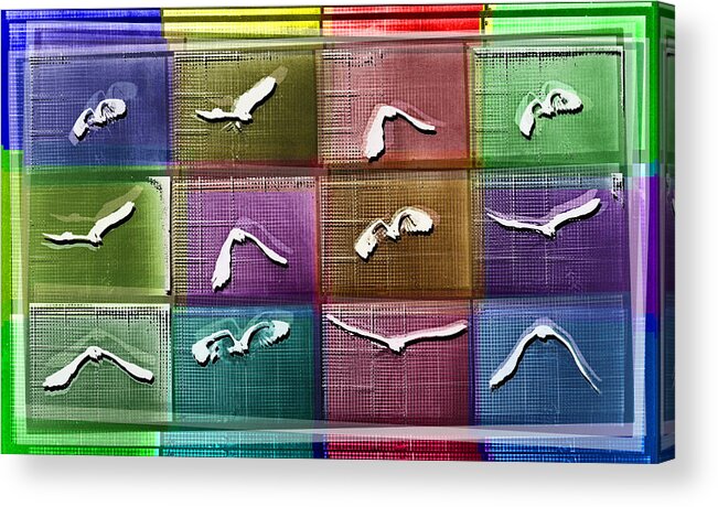 Bird Acrylic Print featuring the painting Time Lapse Motion Study Bird Color by Tony Rubino