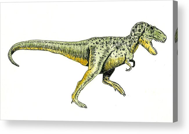 Animals Acrylic Print featuring the painting Tyrannosaurus Rex by Michael Vigliotti