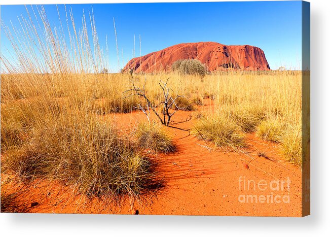 Uluru Ayers Rock Outback Australia Australian Landscape Central Northern Territory Acrylic Print featuring the photograph Central Australia #3 by Bill Robinson