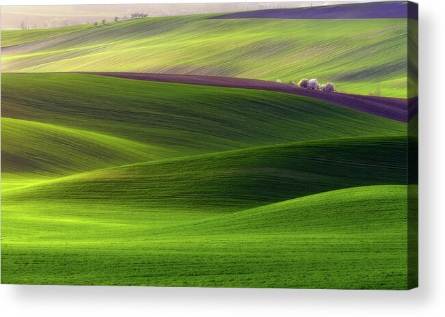 Fields Acrylic Print featuring the photograph Verdant Land by Piotr Krol (bax)