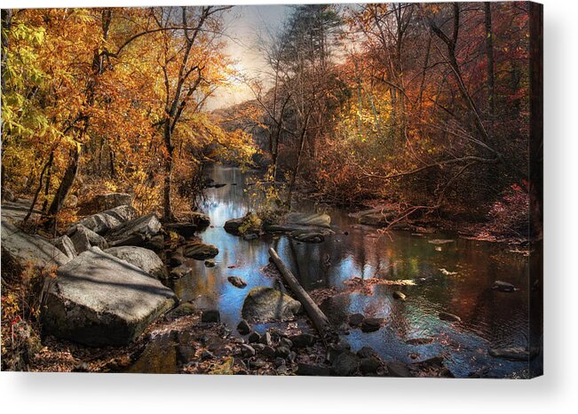 Acadia Park Acrylic Print featuring the photograph Woodland Autumn by Robin-Lee Vieira