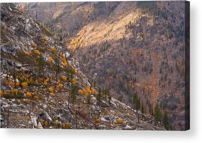 Autumn Acrylic Print featuring the photograph Autumn Layers by Mike Reid