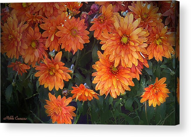 Floral Acrylic Print featuring the photograph Autumn Orange Flowers by Mikki Cucuzzo