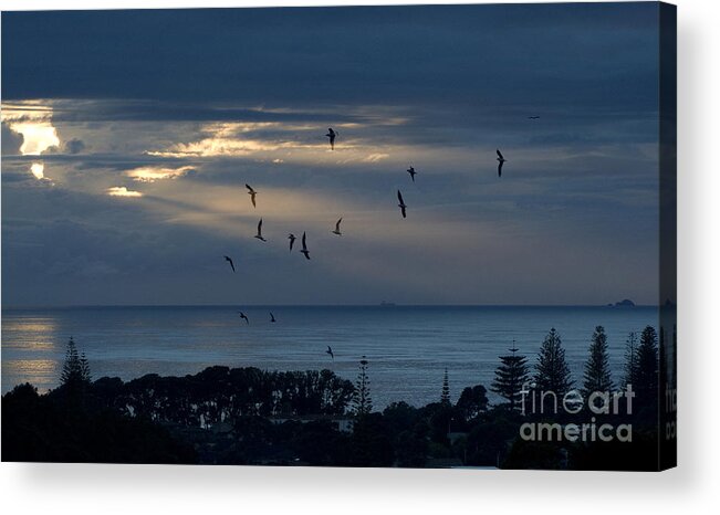 Dusk Acrylic Print featuring the photograph Promise of a New Day by Karen Lewis