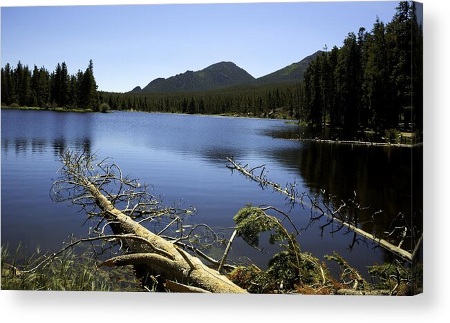 Rocky Mountain National Park Acrylic Print featuring the photograph Sprague Lake Rocky Mountain National Park by Gary Batha