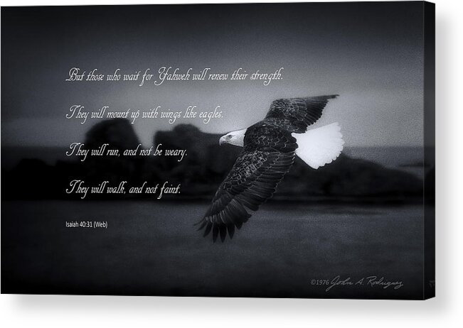 Bald Eagle Acrylic Print featuring the photograph Bald Eagle in Flight With Bible Verse by John A Rodriguez