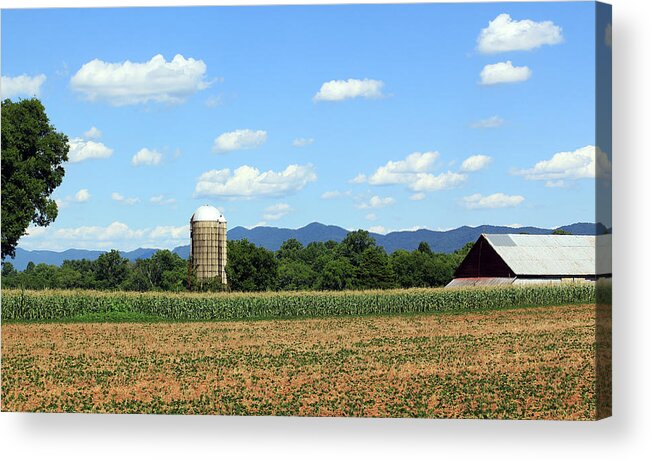 Nina Delozier Rd; Barn Acrylic Print featuring the photograph In the Corn Field #1 by Jennifer Robin