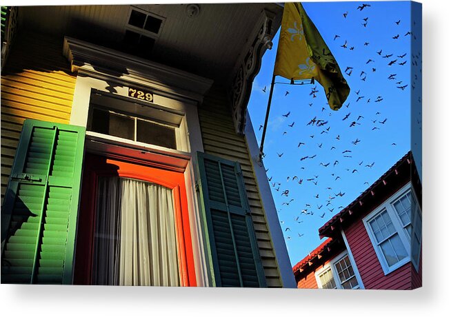 Skip Hunt Acrylic Print featuring the photograph The Birds #1 by Skip Hunt