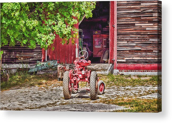 Nature Acrylic Print featuring the photograph The Old Ride #1 by Tricia Marchlik