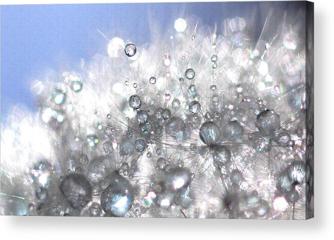Drops Acrylic Print featuring the photograph Drops #6 by Sylvie Leandre