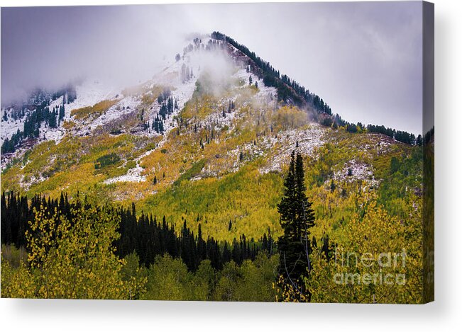 Utah Acrylic Print featuring the photograph Alpine Loop Autumn Storm - Wasatch Mountains by Gary Whitton