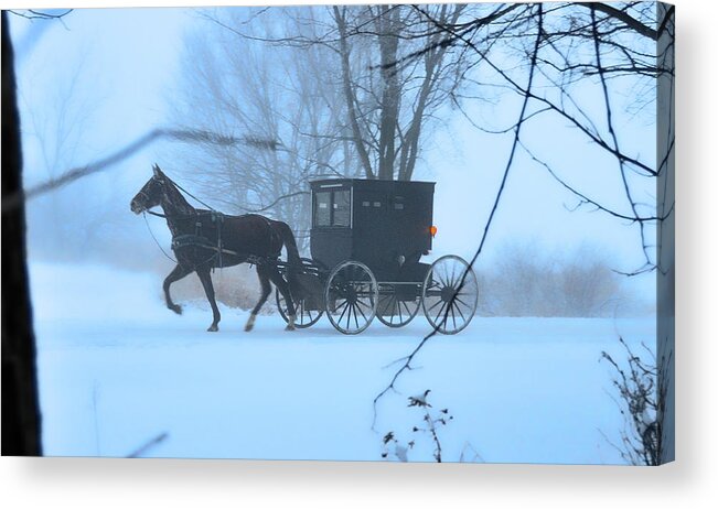 Dreamscape Acrylic Print featuring the photograph Amish Dreamscape by David Arment