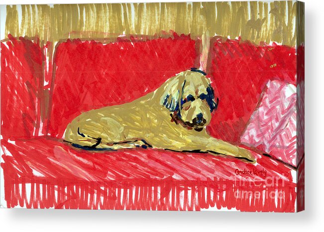 Couch Acrylic Print featuring the painting Becky's Dog by Candace Lovely