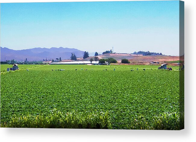 Fields Acrylic Print featuring the photograph Big Agriculture by Joseph Hollingsworth