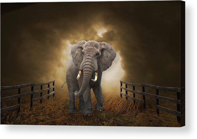Elephant Acrylic Print featuring the mixed media Big Entrance Elephant Art by Marvin Blaine