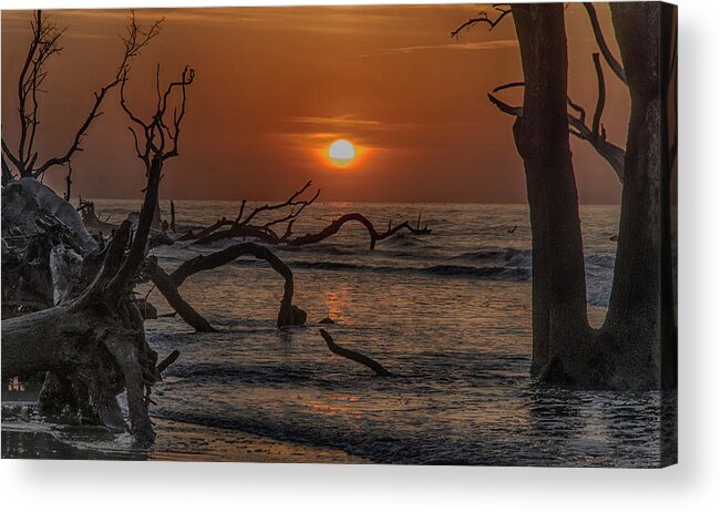 Sunrise Acrylic Print featuring the photograph Boneyard Beach by Jim Cook